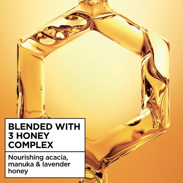 Garnier Whole Blends Honey Treasures Repairing Shampoo and Conditioner - 12.5 fl oz/2ct