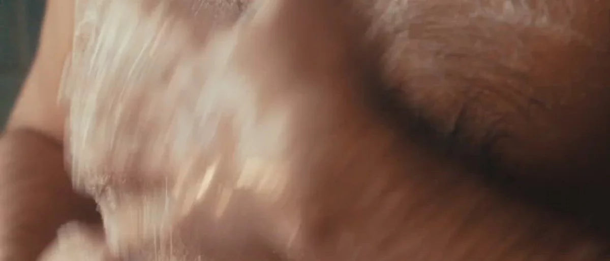 Harry's Men's Body Wash - Stone - 30 fl oz