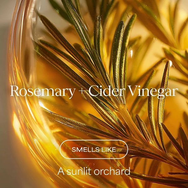 Raw Sugar The Mighty Curl Conditioner - Rosemary + Cider Vinegar - 16 fl oz