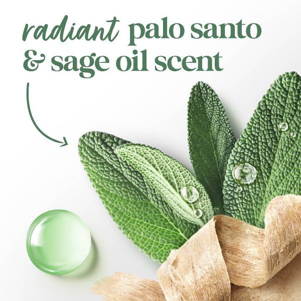 Dove Beauty Body Wash - Palo Santo + Sage Oil - 20 fl oz