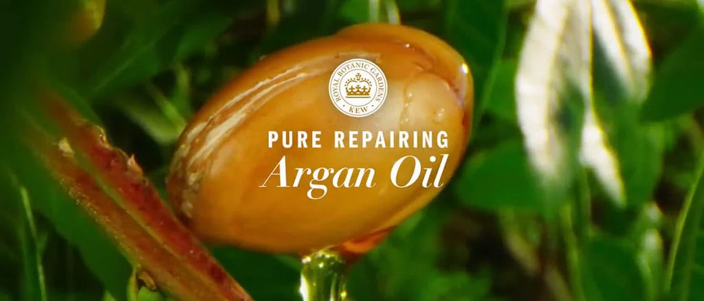 Herbal Essences Argan Oil Repairing Shampoo, Color-Safe, For Damaged Hair - 13.5 fl oz