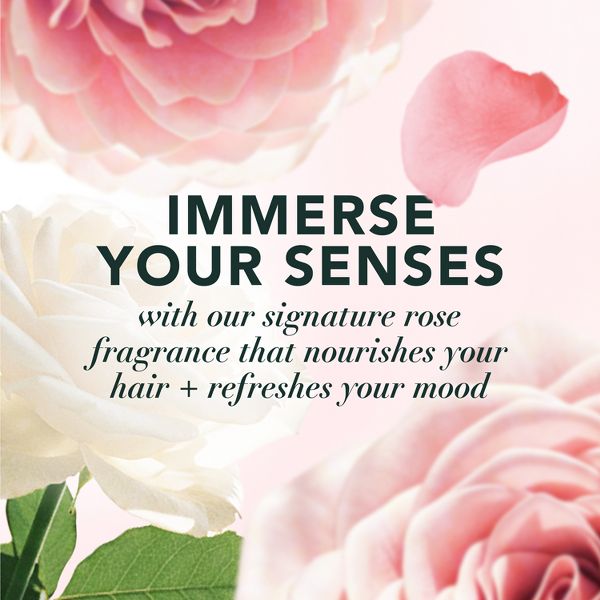 Herbal Essences Smooth Shampoo with Rose Hips & Jojoba Extracts - 13.5 fl oz