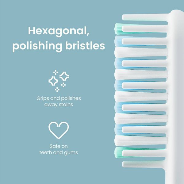 quip Whitening Toothbrush Head Refill - 2pk