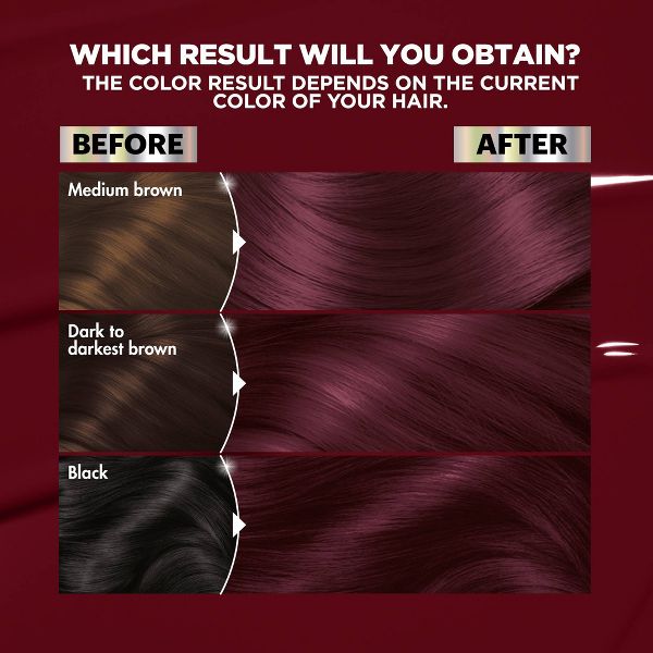 Garnier Nutrisse Nourishing Color Creme - V2 Dark Intense Violet: For All Hair Types, Includes Gloves, Permanent Hair Color