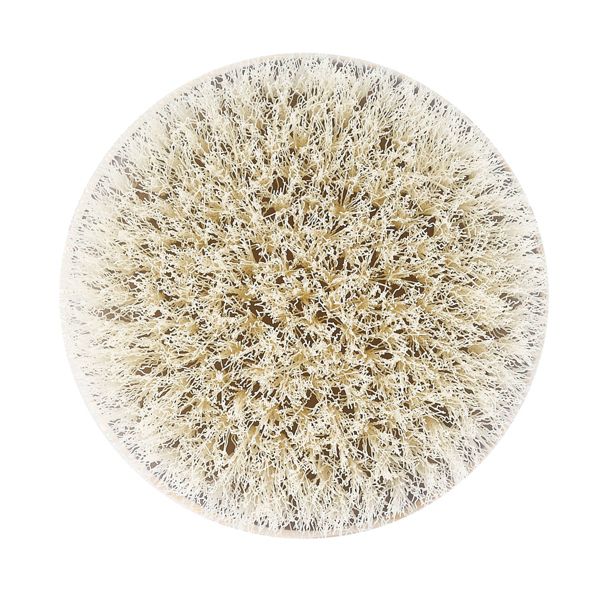 EcoTools Dry Body Brush - Gray