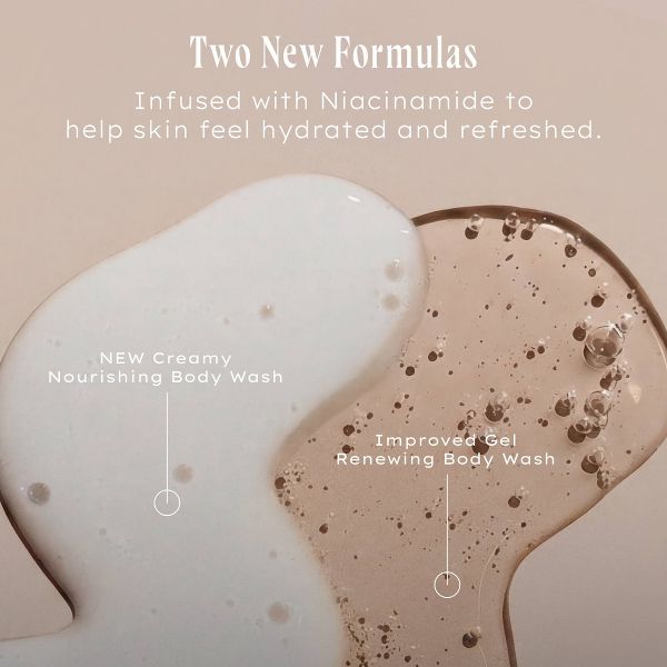 Being Frenshe Renewing Body Wash - Salty - 14 fl oz
